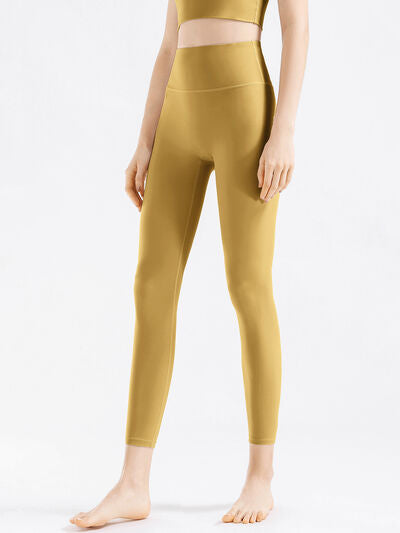 High Waist Active Pants